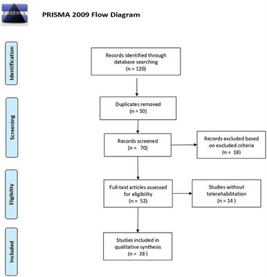 Tele-Neuro-Rehabilitation in Italy: State of the Art and Future Perspectives